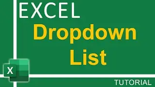 How To Create Excel Dropdown Lists in Excel in 60 Seconds - Excel Tutorial for Everyone
