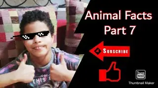 Animal Facts Part 7
