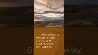 Человек    подобен всаднику / #высказывания