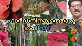 HOME VISIT-INDOOR OUTDOOR PLANTS-HUSSAN MUKKAM