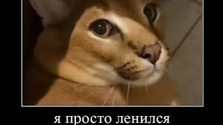 я просто ленился