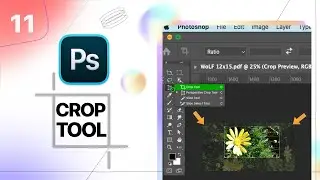 Crop Tool in Photoshop | Resize & Straighten Images | Beginner Class 11