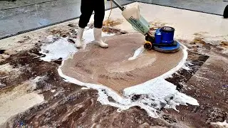 A tiger so clear, it almost started to roar! ASMR carpet cleaning
