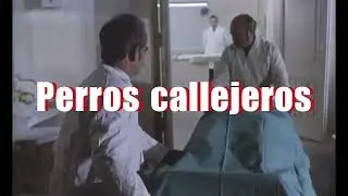 Cine quinqui