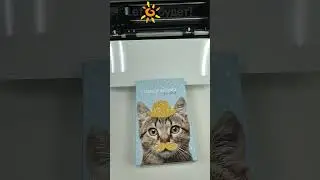 Режущие плоттеры 