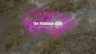 Sio's Photography - Flamingos in Orange Valley. 🦩 🇹🇹