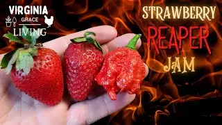 Strawberry Carolina Reaper Jam Recipe | Reaper Jelly | Hot Pepper Jam / Pepper Jelly
