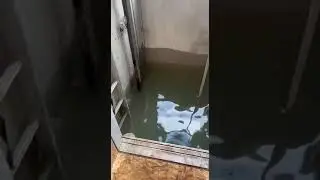 Панорамный лифт в 