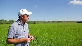 Агроном