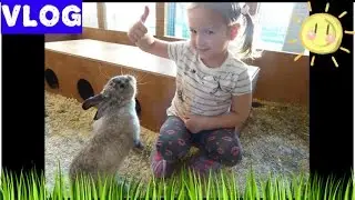 КОНТАКТНЫЙ ЗООПАРК Енотия. Потрогали всех животных =)