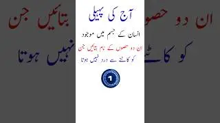Most Difficult Paheli | Mushkil Paheli | Mushkil Urdu Paheli | Urdu Paheliyan | Riddles - urdunama