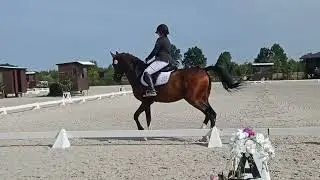 Bestiariusz L-1 62,500%