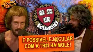 ESSA PESQUISA DE HARVARD VAI TE IMPRESSIONAR!