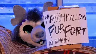 Marshmallow's Fur Fort
