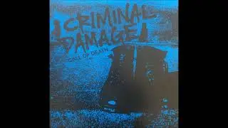 Criminal Damage 