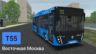 Omsi 2 Восточная Москва, Маршрут Т55
