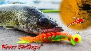 How to use Side Imaging to Find River Walleye (Garmin SideVu)