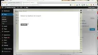 CodeCanyon, DZS Scroller Gallery WordPress - Install and Sample Usage