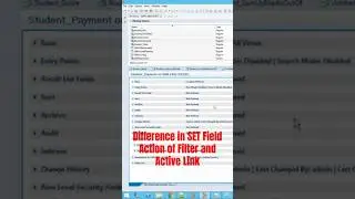 SET Field difference between AL and Filter 