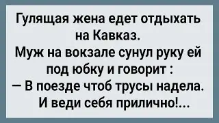 Как Гулящая Жена На Кавказ Поехала! Сборник Свежих Анекдотов! Юмор!