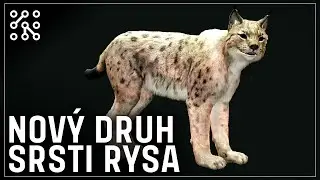 Moje velké překvapení | theHunter: Call of the wild CZ |  Česky