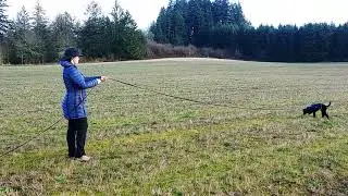 Sigma's 150 yard track with lots of distraction