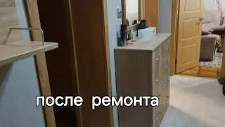Пушистики и наш коридор после РЕМОНТА 🐈‍⬛🐈🐈‍⬛🐈🙋‍♀️❤️