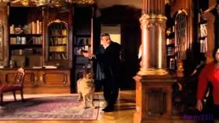Kommissar Rex-Alex(7x5)
