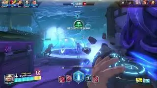 Torvalds ult is good - Paladins
