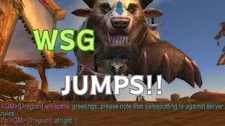 Turtle WoW - Druid carry WSG flag jumps clip.