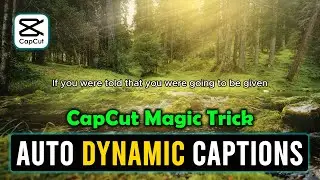 How To Add Captions And Subtitles In CapCut PC In Just A Few Clicks