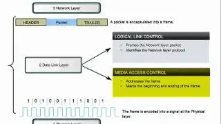 Data Link Layer  (cisco ccna networking fundamentals chapter 7)