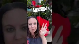 Instagram Secret Font Hack