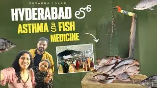 Asthma కి చాపల మందు | Fish Medicine to Cure Asthma | Suvarna lokam