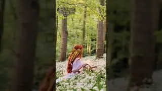 Foraging in spring in Ireland 