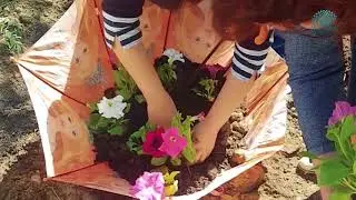 Акция "Болашақ бағы". Жезказган