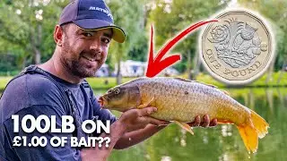 100lb On £1 Pole FISHING CHALLENGE!
