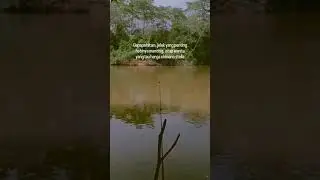 #remix #djremix #djterbaru #hiburanmancing #mancingliar #keseruanmancing
