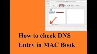 How to check DNS Entry in MAC Book