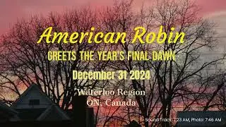 Robin's Dawn Song, Dec  31 2024   Made with Clipchamp