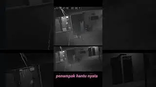 Ms. Kunti's appearance was clearly recorded