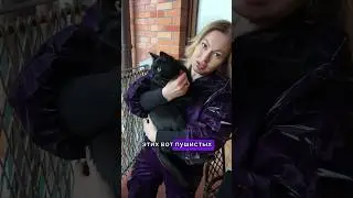 Поговорим о кошках ❤️ #совет #экстрасенс #битваэкстрасенсов #кот #коты #эзотерика