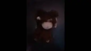 sorry PETA