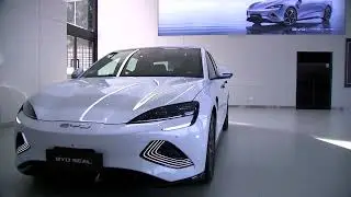 BYD sees slowest quarterly profit growth in 2 years | REUTERS