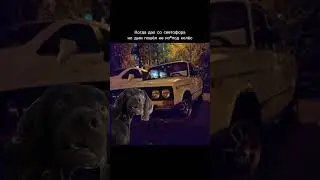 вот что значит молодость на жигулях😎