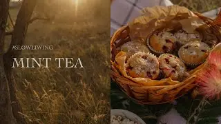 🍒Cherry muffins | Life in the south of Russia