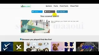 Find the Fox!Quiz 2021 Answers 100%