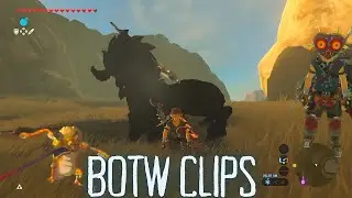 Here’s some BOTW Clips!