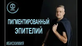 Биохимия: Пигментированный эпителий