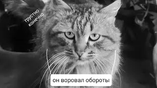 сломало коромысла днепр 1200